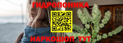 тгк Пенза