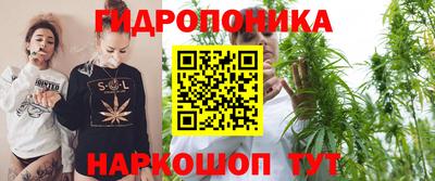 тгк Пенза