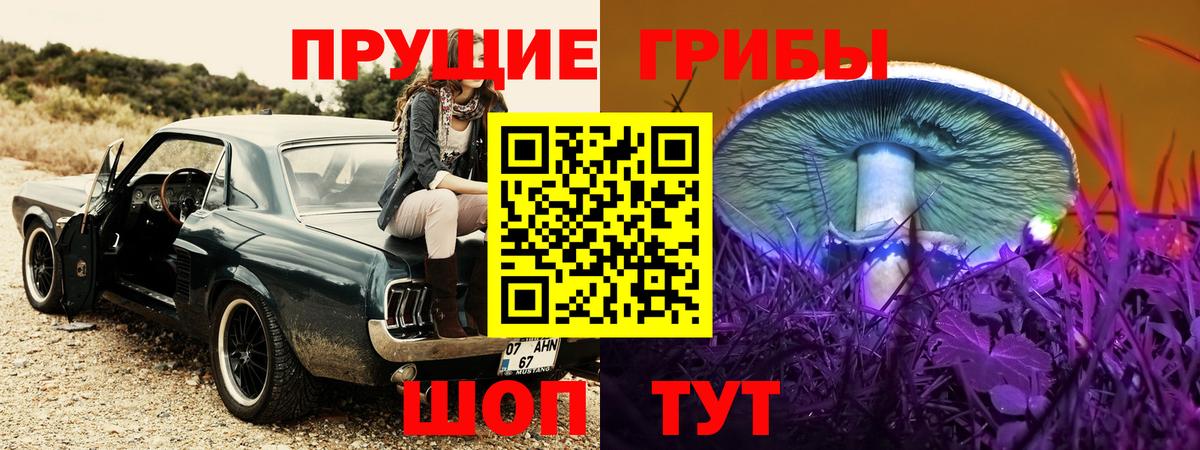 Смоленск  Псилоцибиновые грибы мухоморы  Галлюциногенные грибы мухоморы  Вход с VPN 